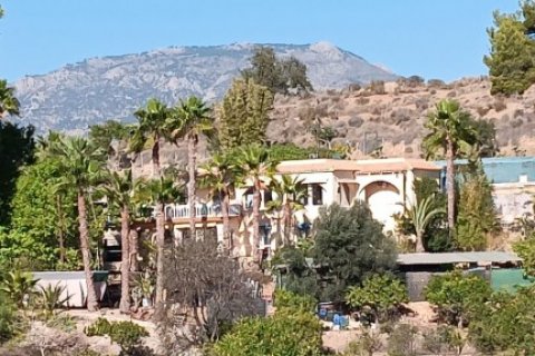 Finca pārdošanā Alicante, Spānijā 6 istabas, 317 m2 Nr. 125454 - attēls 2