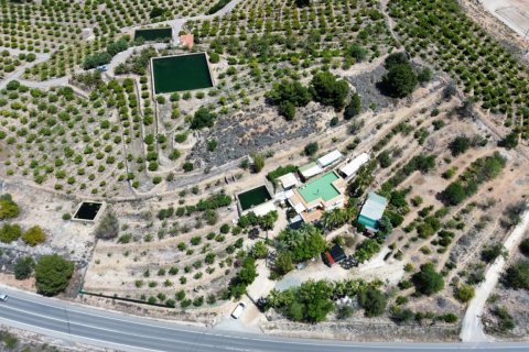 Finca pārdošanā Alicante, Spānijā 6 istabas, 317 m2 Nr. 125454 - attēls 12