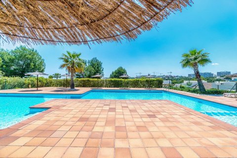 Apartamento en venta Pinar De Campoverde, Alicante, España 3 dormitorios, 191 m2 No. 131849 - foto 29