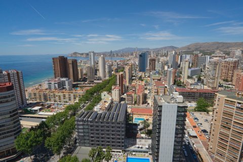 Appartamento in vendita Benidorm, Alicante, Spagna 5 camere da letto, 412 mq. N° 120164 - foto 18