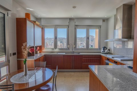 Appartamento in vendita Benidorm, Alicante, Spagna 5 camere da letto, 412 mq. N° 120164 - foto 17
