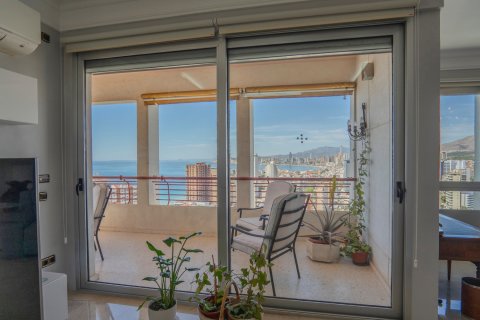 Appartamento in vendita Benidorm, Alicante, Spagna 5 camere da letto, 412 mq. N° 120164 - foto 16
