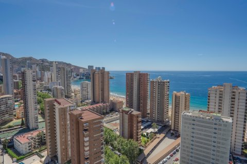 Appartamento in vendita Benidorm, Alicante, Spagna 5 camere da letto, 412 mq. N° 120164 - foto 2