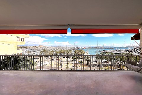 Apartamento en venta Palma de Mallorca, Mallorca, España 3 dormitorios, 221 m2 No. 128138 - foto 15