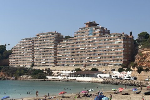 Apartamento en alquiler El Toro, Mallorca, España 2 dormitorios, 60 m2 No. 131063 - foto 12
