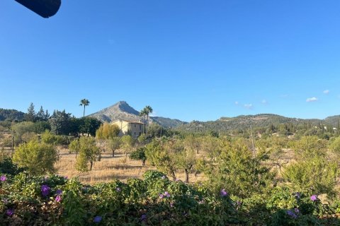 Villa zum Verkauf Es Capdella, Mallorca, Spanien 3 Schlafzimmer, 316 m2 Nr. 124639 - Foto 17