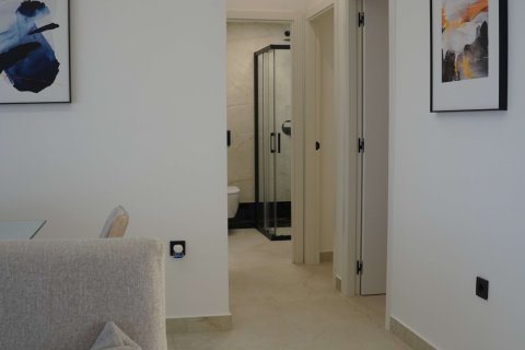 Apartament w Pilar de la Horadada, Alicante, Hiszpania 3 sypialnie,  nr 132541 – zdjęcie 12