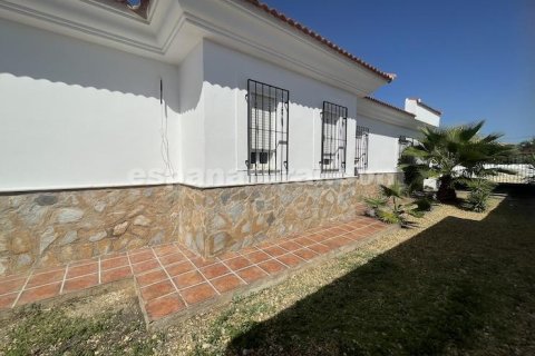 Villa à vendre Arboleas, Almeria, Espagne, 3 chambres, 710 m2 No. 129438 - photo 19