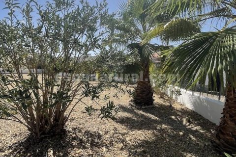 Villa à vendre Arboleas, Almeria, Espagne, 3 chambres, 710 m2 No. 129438 - photo 16