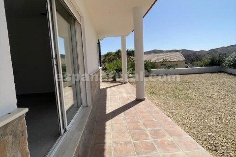 Villa à vendre Arboleas, Almeria, Espagne, 3 chambres, 710 m2 No. 129438 - photo 3