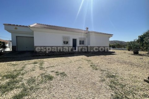Villa à vendre Arboleas, Almeria, Espagne, 3 chambres, 710 m2 No. 129438 - photo 15
