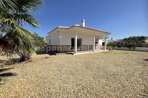 Villa à vendre Arboleas, Almeria, Espagne, 3 chambres, 710 m2 No. 129438 - photo 1