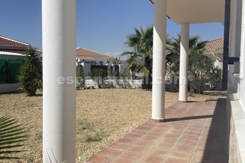 Villa à vendre Arboleas, Almeria, Espagne, 3 chambres, 710 m2 No. 129438 - photo 2