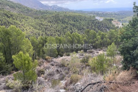 Продажа земельного участка в Алтея, Аликанте, Испания 4812м2 №120964 - фото 17