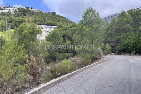 Продажа земельного участка в Алтея, Аликанте, Испания 4812м2 №120964 - фото 1