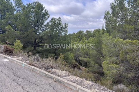 Продажа земельного участка в Алтея, Аликанте, Испания 4812м2 №120964 - фото 2