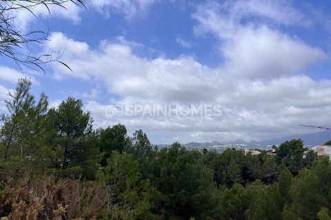 Продажа земельного участка в Алтея, Аликанте, Испания 4812м2 №120964 - фото 5