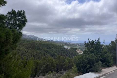Продажа земельного участка в Алтея, Аликанте, Испания 4812м2 №120964 - фото 11