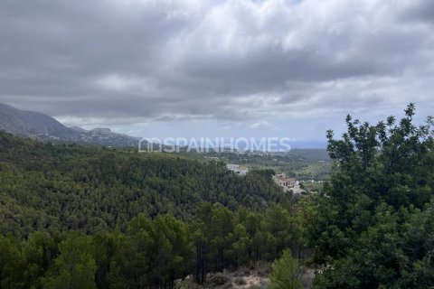 Продажа земельного участка в Алтея, Аликанте, Испания 4812м2 №120964 - фото 15