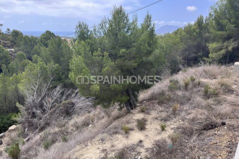Продажа земельного участка в Алтея, Аликанте, Испания 4812м2 №120964 - фото 22