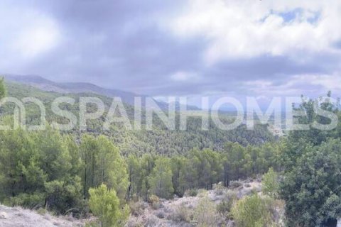 Продажа земельного участка в Алтея, Аликанте, Испания 4812м2 №120964 - фото 14
