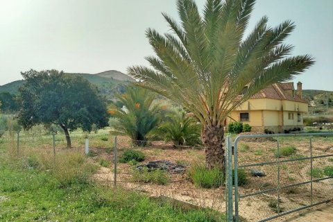Villa for sale Aspe, Alicante, Spain 5 bedrooms, 380 sq.m. No. 125629 - photo 3