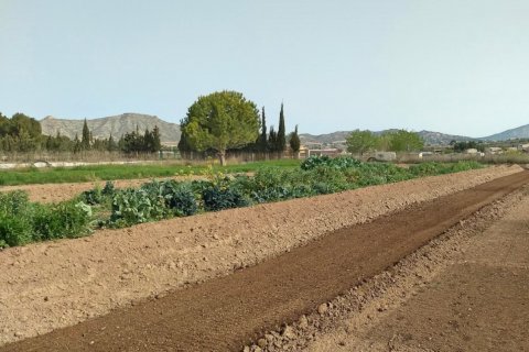 Villa for sale Aspe, Alicante, Spain 5 bedrooms, 380 sq.m. No. 125629 - photo 6