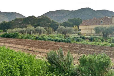 Villa for sale Aspe, Alicante, Spain 5 bedrooms, 380 sq.m. No. 125629 - photo 7