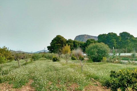 Villa for sale Aspe, Alicante, Spain 5 bedrooms, 380 sq.m. No. 125629 - photo 5
