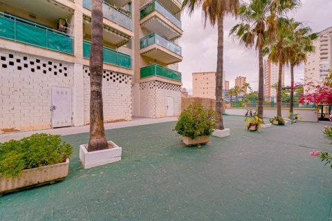 Apartment for rent Villajoyosa, Alicante, Spain 1 bedroom, 59 sq.m. No. 127121 - photo 29