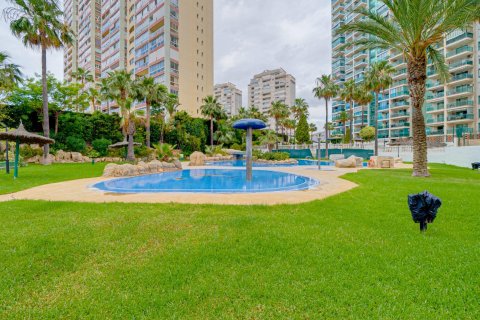 Apartment for rent Villajoyosa, Alicante, Spain 1 bedroom, 59 sq.m. No. 127121 - photo 2