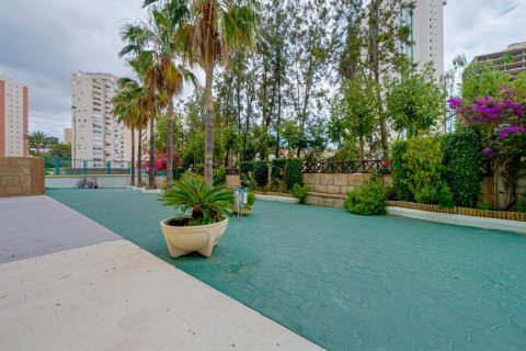 Apartment for rent Villajoyosa, Alicante, Spain 1 bedroom, 59 sq.m. No. 127121 - photo 30