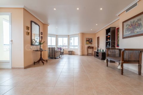 Apartment for sale Torrevieja, Alicante, Spain 5 bedrooms, 212 sq.m. No. 125465 - photo 4