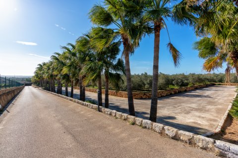 Finca for sale Puntiro, Mallorca, Spain 4 bedrooms, 540 sq.m. No. 130923 - photo 24