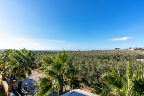 Finca for sale Puntiro, Mallorca, Spain 4 bedrooms, 540 sq.m. No. 130923 - photo 20