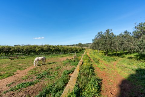 Finca for sale Puntiro, Mallorca, Spain 4 bedrooms, 540 sq.m. No. 130923 - photo 23