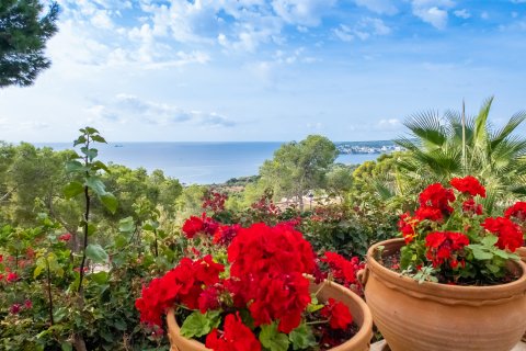 Willa Costa D'en Blanes, Mallorca, Hiszpania 5 sypialni, 350 mkw. nr 130927 – zdjęcie 8
