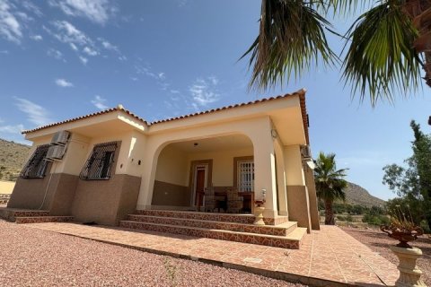 Villa zum Verkauf Hondon De Las Nieves, Alicante, Spanien 3 Schlafzimmer,  Nr. 126931 - Foto 11