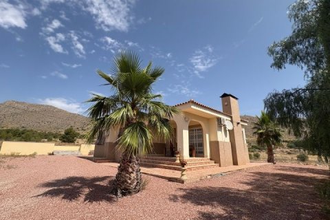 Villa zum Verkauf Hondon De Las Nieves, Alicante, Spanien 3 Schlafzimmer,  Nr. 126931 - Foto 10
