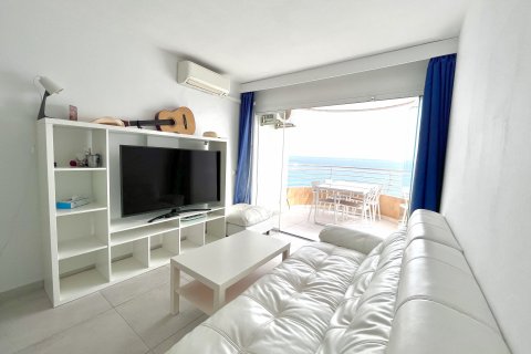 Apartment à louer Palma de Majorca, Mallorca, Espagne, 1 chambre, 41 m2 No. 130957 - photo 5