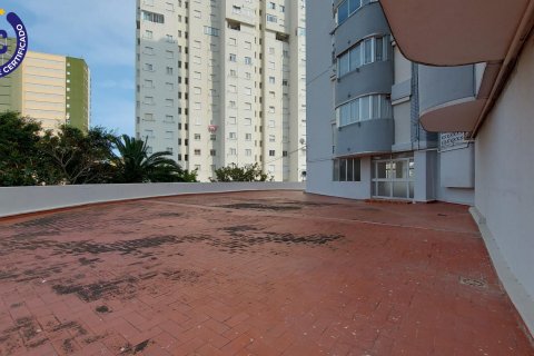 Apartment for sale La Pobla de Farnals, Valencia, Spain 3 bedrooms, 89 sq.m. No. 132852 - photo 17
