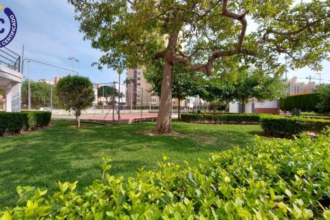 Apartment for sale La Pobla de Farnals, Valencia, Spain 3 bedrooms, 89 sq.m. No. 132852 - photo 6
