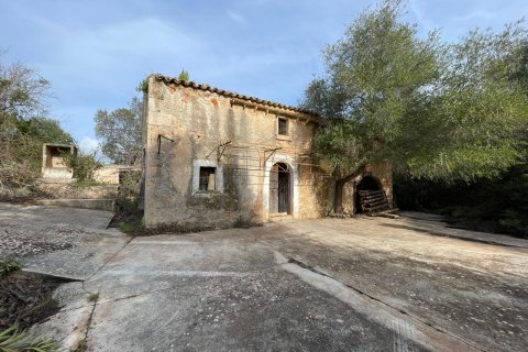 Finca en venta Llubi, Mallorca, España 3 dormitorios, 150 m2 No. 128143 - foto 2
