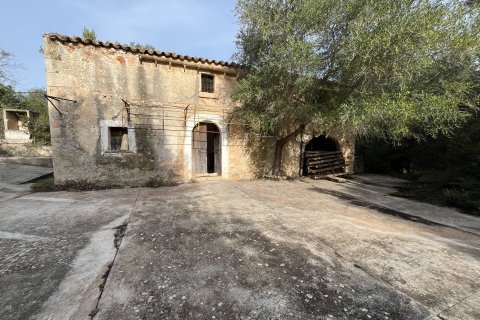 Finca en venta Llubi, Mallorca, España 3 dormitorios, 150 m2 No. 128143 - foto 1