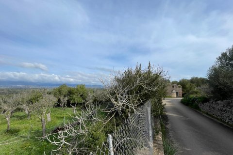 Finca en venta Llubi, Mallorca, España 3 dormitorios, 150 m2 No. 128143 - foto 13