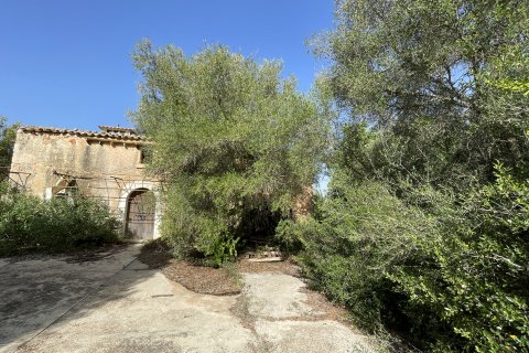 Finca en venta Llubi, Mallorca, España 3 dormitorios, 150 m2 No. 128143 - foto 17
