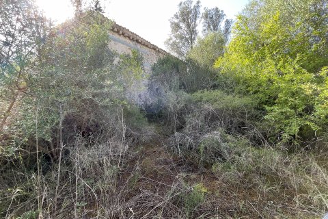 Finca en venta Llubi, Mallorca, España 3 dormitorios, 150 m2 No. 128143 - foto 16