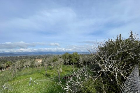 Finca en venta Llubi, Mallorca, España 3 dormitorios, 150 m2 No. 128143 - foto 14