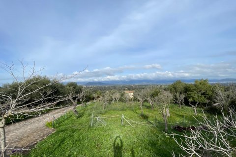 Finca en venta Llubi, Mallorca, España 3 dormitorios, 150 m2 No. 128143 - foto 15