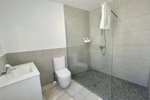 Аренда таухауса Санта-Мария-дель-Ками, Майорка, Испания 2 спальни, 140м2 №128145 - фото 17